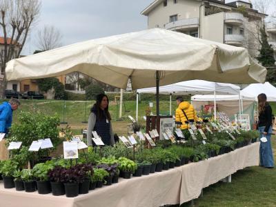 Giardini d'Autore _ Rimini 2022