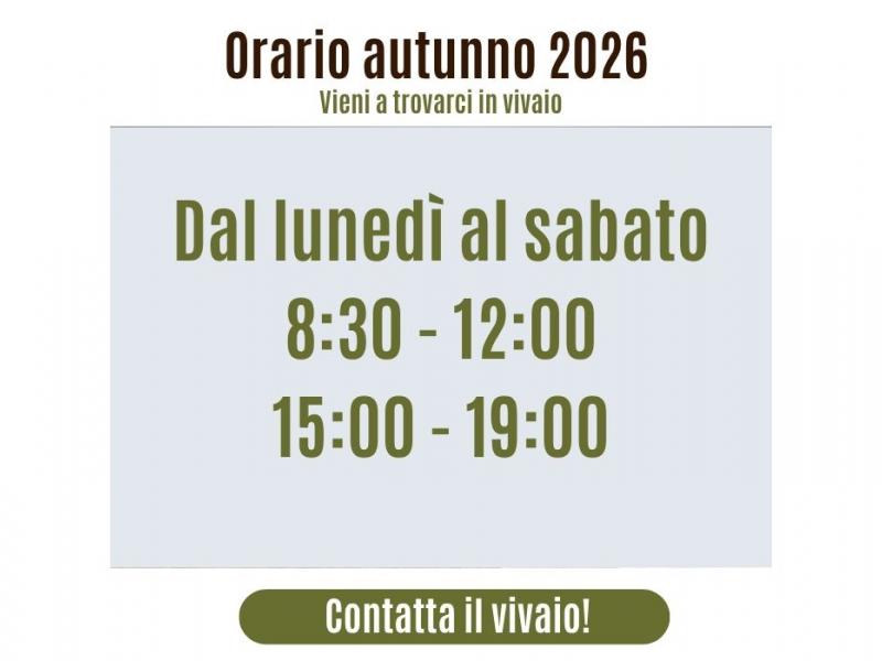 orario
